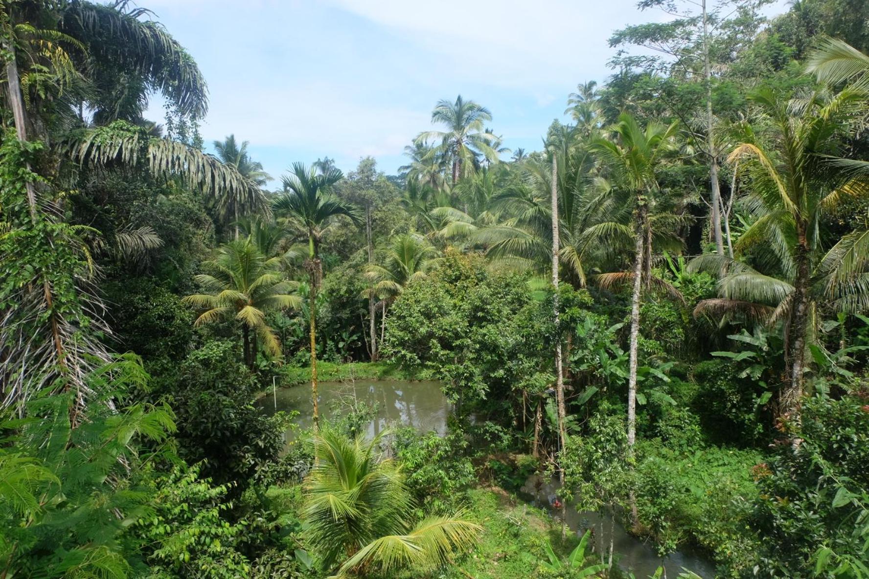 Villa Gunung Kawi House Tegallalang  Exterior foto